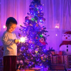 Instalatie Craciun, 10 m, 100 Led-uri ,Liniara, Multicolor, 8 jocuri de lumini, Transformator, Interconectabila, Prelungitor 5 m inclus, Fir Transparent, Flippy - imagine 4