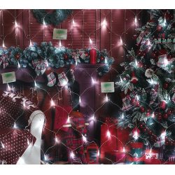 Instalatie Craciun, Tip Plasa, 10 m x 2 m, 800 LED-uri, Alb rece, 8 jocuri de lumini, Transformator, Interconectabila, Prelungitor 5 m inclus, Fir transparent, Flippy - imagine 5
