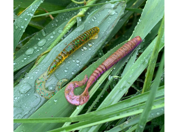 Grub FishUp Vipo 5.2cm #050 Green Pumpkin Brown Red & Purple - imagine 2