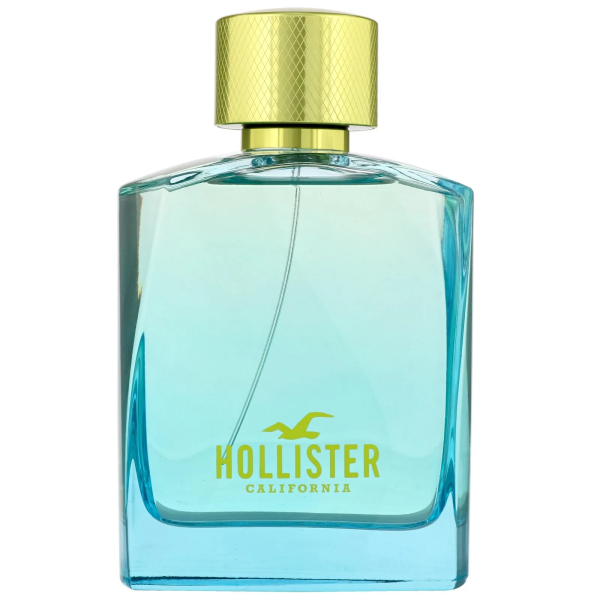 Hollister, Wave 2, Eau De Toilette, For Men, 100 ml *Tester - For Men