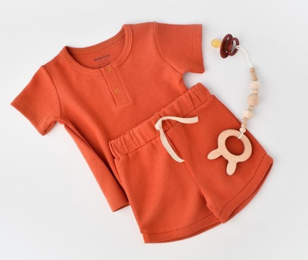 Set tricou cu pantaloni scurti - 100% bumbac organic - Scortisoara, BabyCosy (Marime: 6-9 luni) - imagine 2