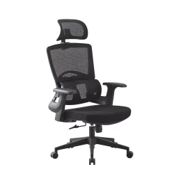 Scaun ergonomic de birou, suport lombar integrat, reglare inaltime, tetiera reglabila, pivotant, mesh negru - imagine 13